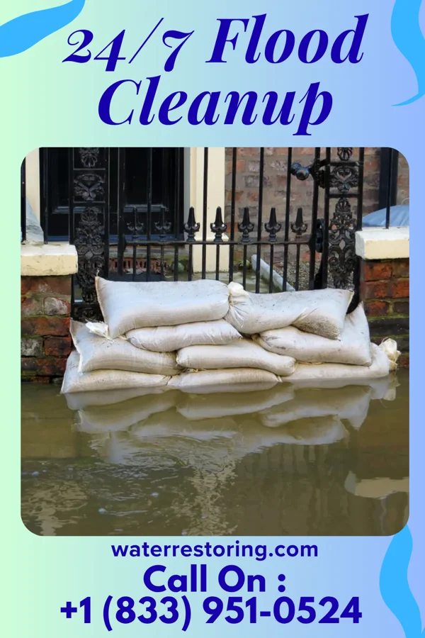 24/7 Flood Cleanup in North City, IL