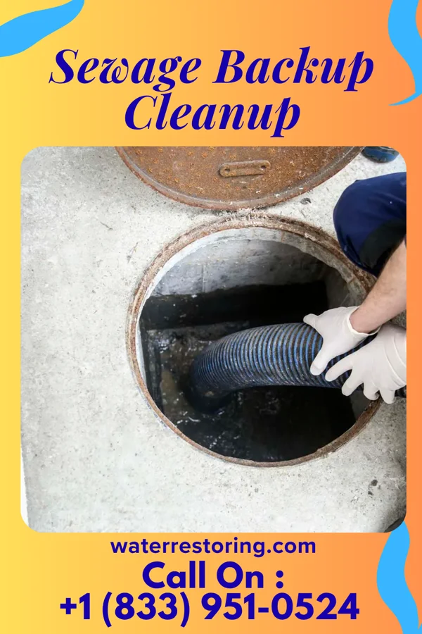 Sewage Backup Cleanup in North City, IL
